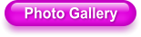 Photo Gallery